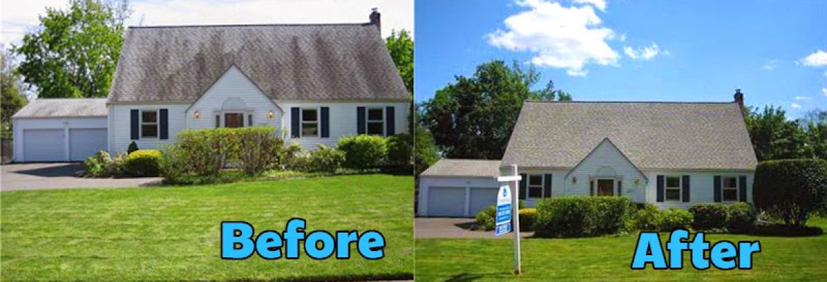 Panoramic Pressure Cleaning