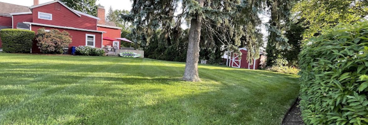 A Plus Ornamental & Turf Specialists LLC
