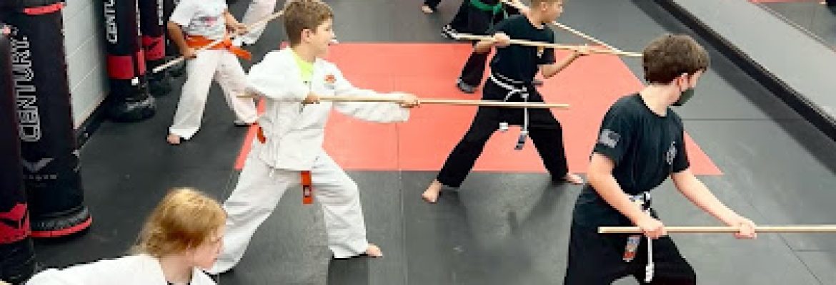 SDSS Martial Arts of Fairfield