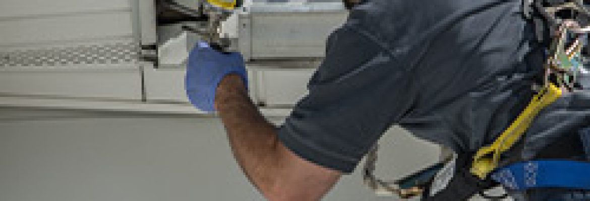 Big Blue Bug Solutions