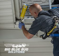 Big Blue Bug Solutions