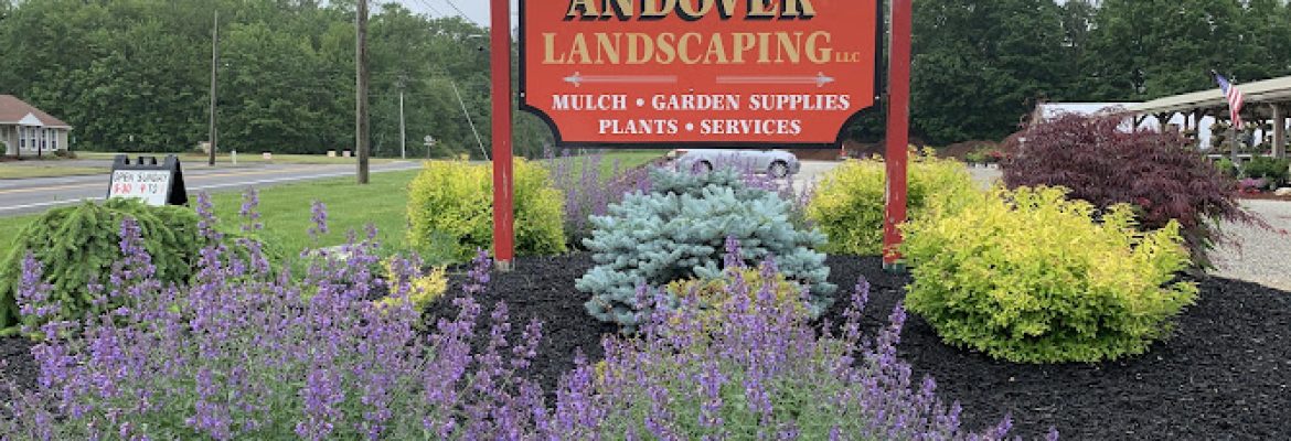 Andover Landscaping LLC