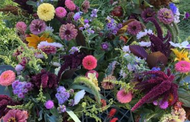 Estabrooks Farm & Garden
