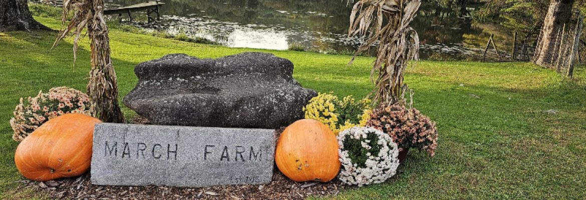 MarchFarm_HarvestHost Parking