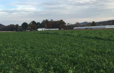 Fort Hill Farm