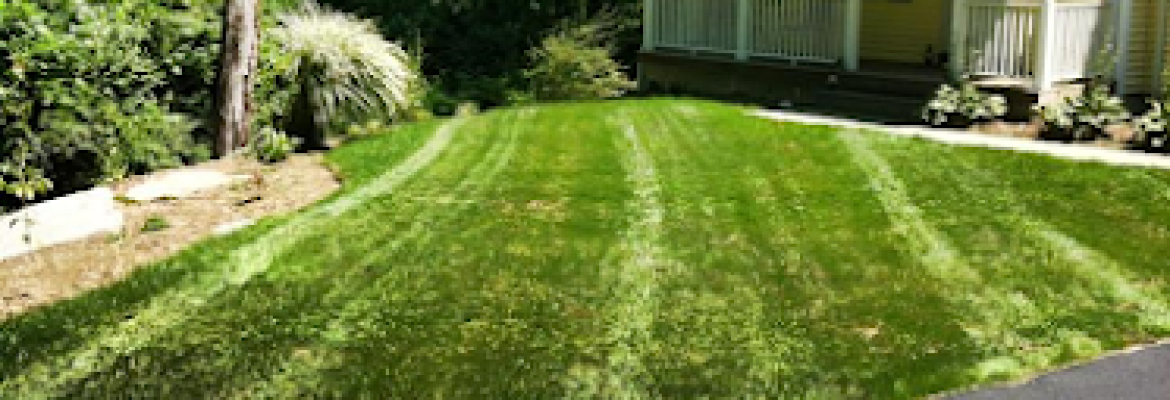Carrier Lawn Care & Landscaping L.L.C