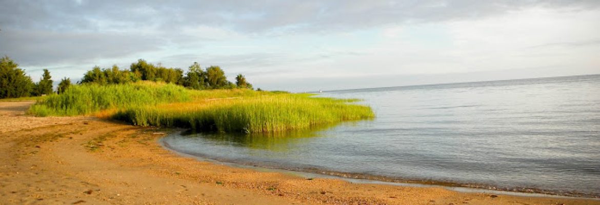 Shoreline Financial Group LLC