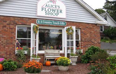 Alice’s Flower Shop