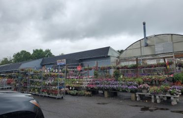 Lots & More EH