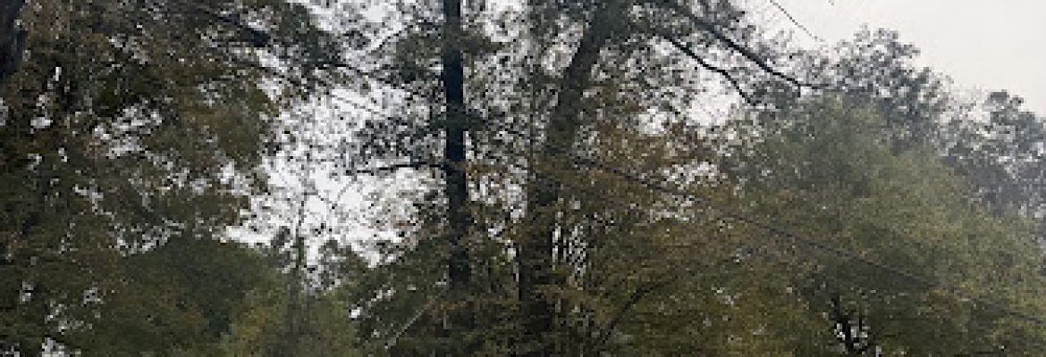 Paul Casey & Sons Roofing Llc