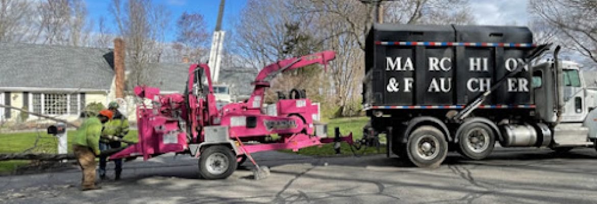 Marchion & Faucher Ent Inc