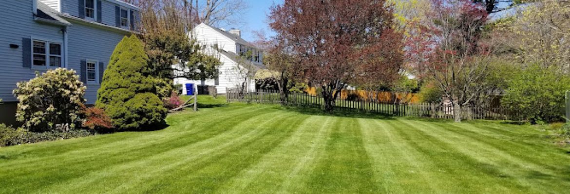 Maplewood Landscaping LLC