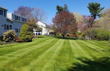 Maplewood Landscaping LLC