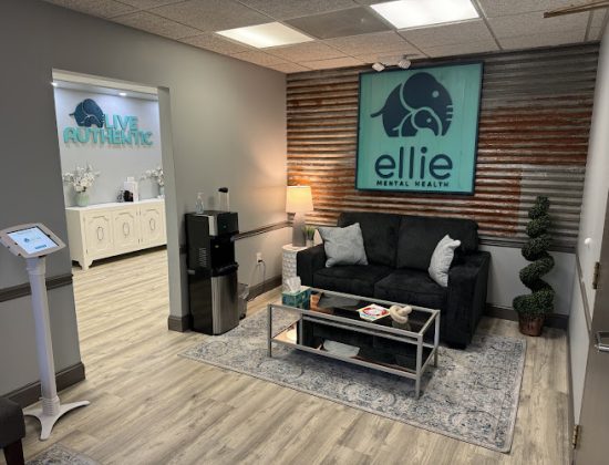 Ellie Mental Health