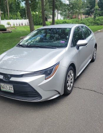 Budget Car Rental