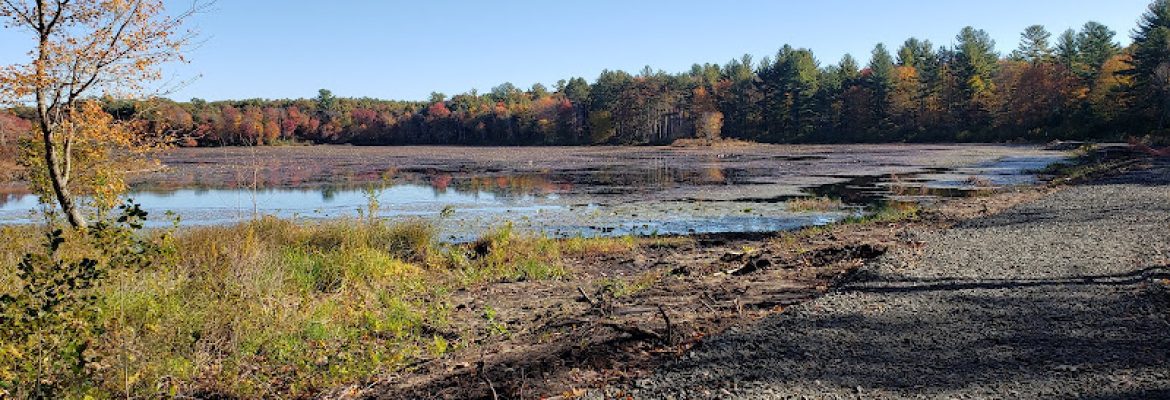Parking – Massacoe State Forest – Great Pond