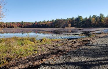 Parking – Massacoe State Forest – Great Pond