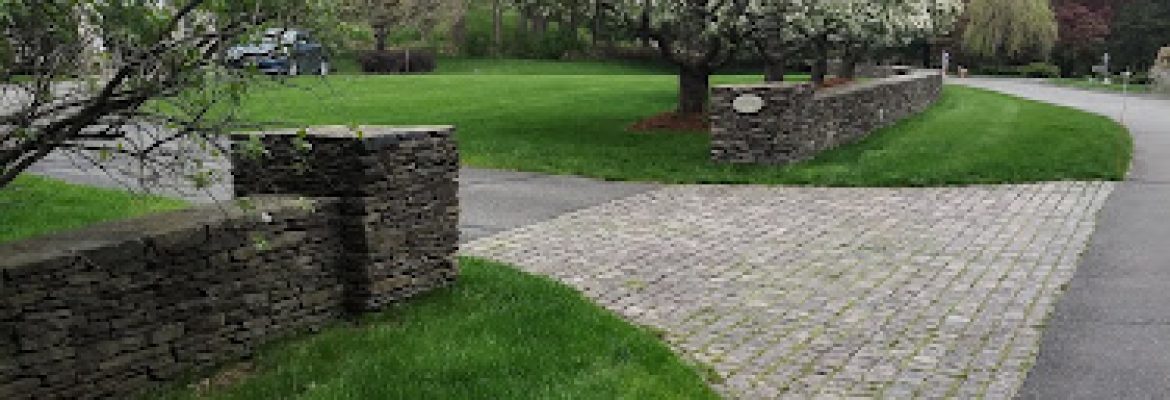 All american landscaping treecutting & mansory llc of norwalk. Ct
