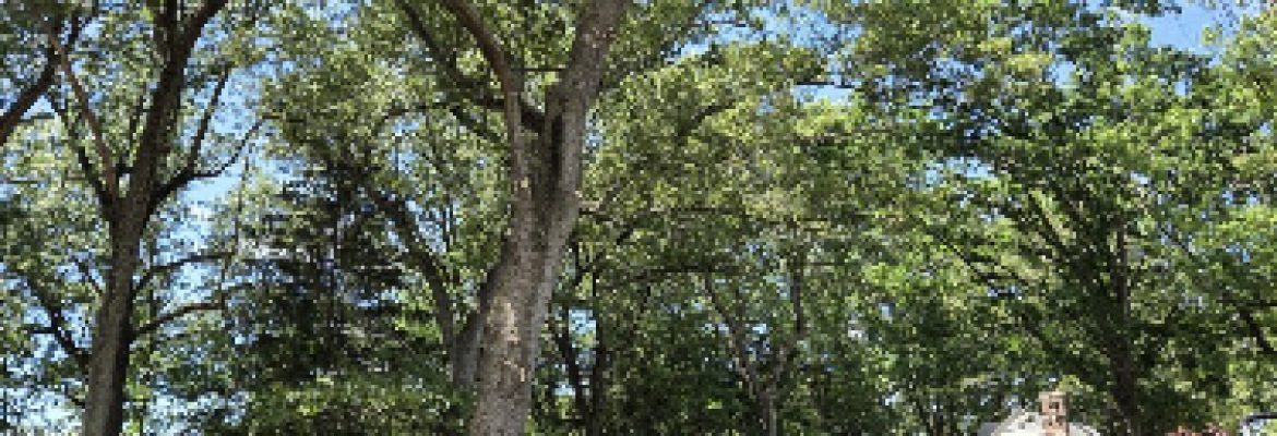 Bill’s Landscaping LLC