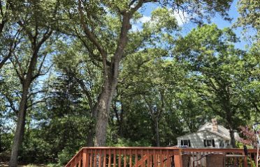 Bill’s Landscaping LLC
