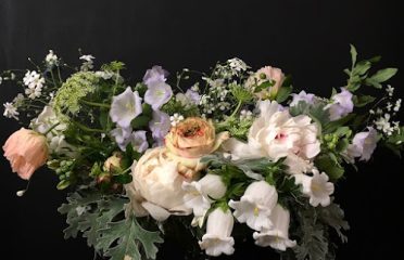 Lunablooms