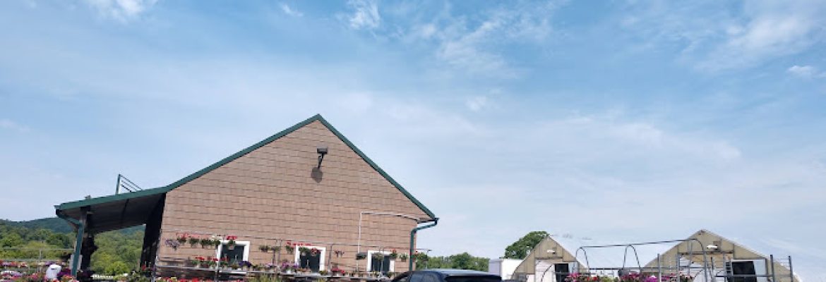 Zentek Farms