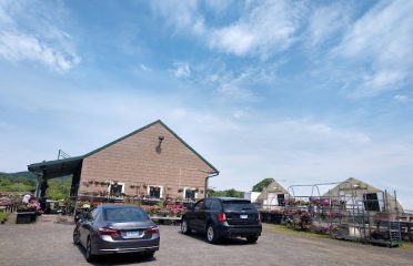 Zentek Farms