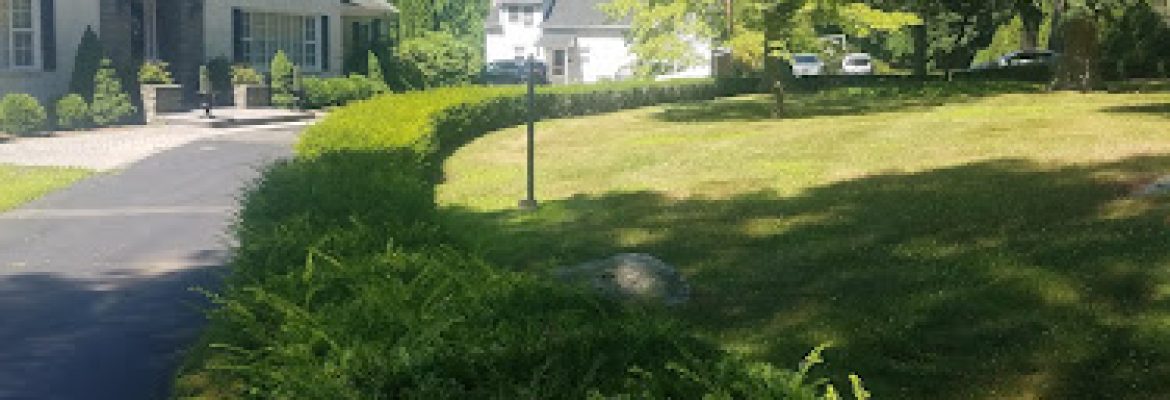S & J Landscaping