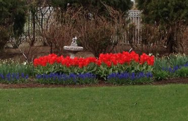 Colorblends Wholesale Flowerbulbs