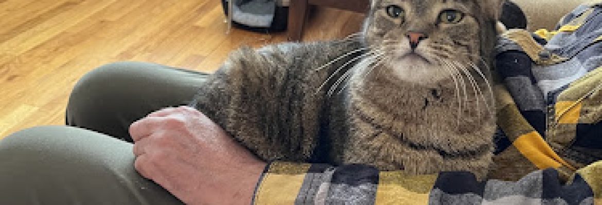 Visit Stamford Animal Care & Control