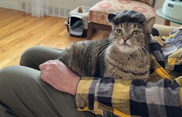 Visit Stamford Animal Care & Control