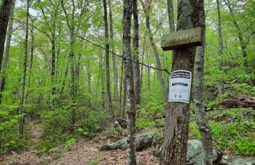 Schaghticoke Mt. Campsite