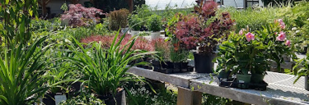 Garden Center