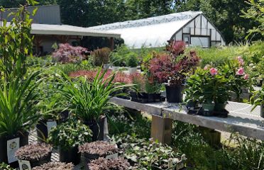 Garden Center