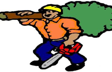 Sugar Mountain Tree Service