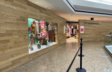 Anthropologie
