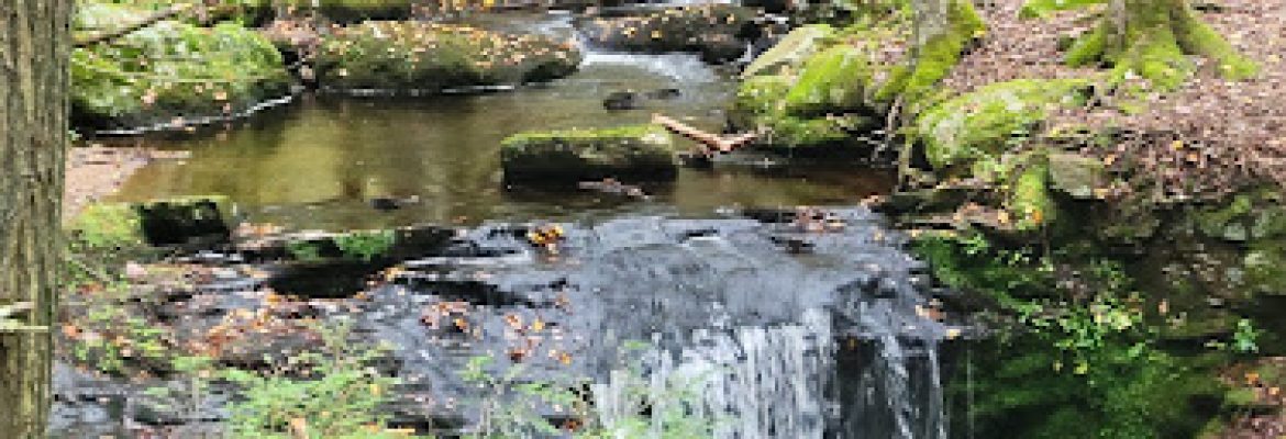 Devil’s Hopyard State Park Campground