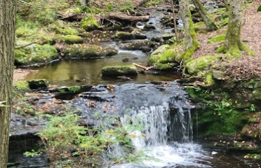 Devil’s Hopyard State Park Campground