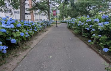Main Street Garden