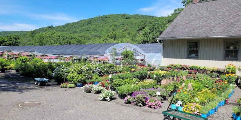 Aspetuck Gardens
