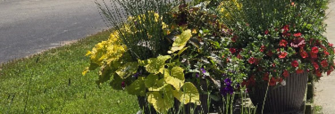 Hart’s Greenhouse & Garden Center