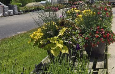 Hart’s Greenhouse & Garden Center