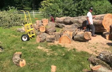 CONTRACTOR TREE SERVES