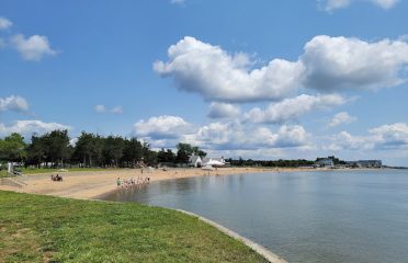 Surf Club Beach