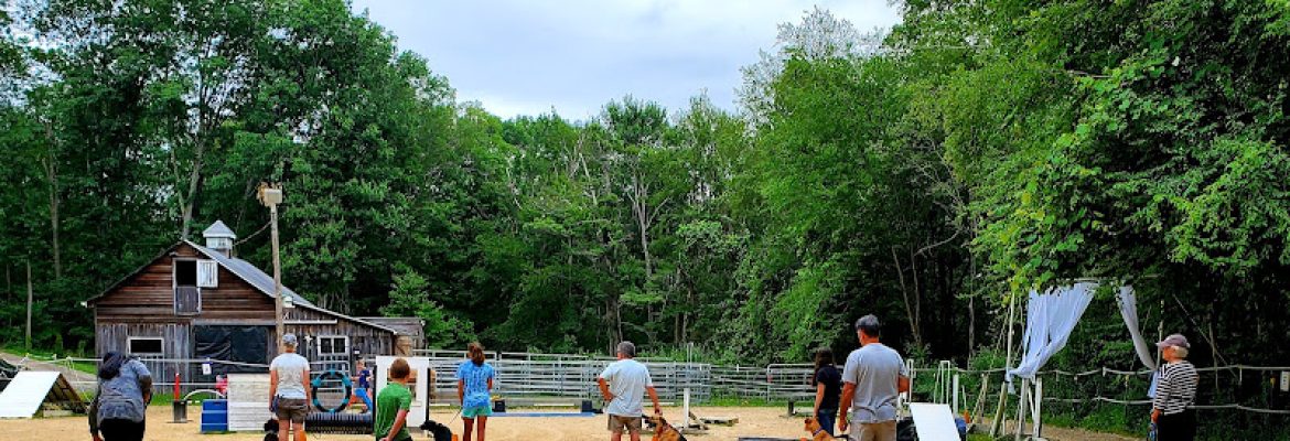 Goldenbrook Farm LLC