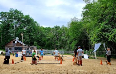 Goldenbrook Farm LLC