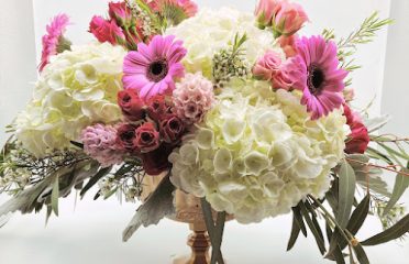 bloom & gather