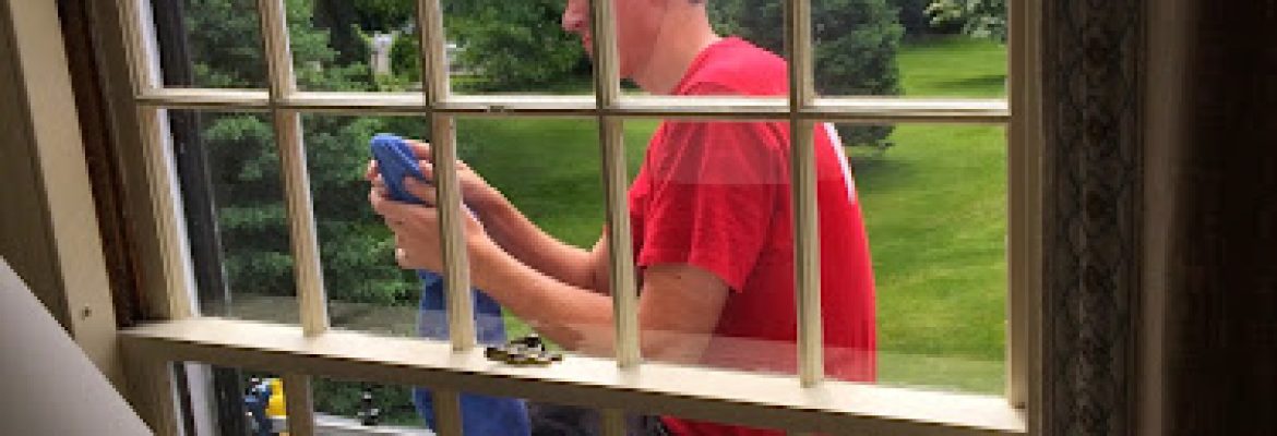 Fish Window Cleaning