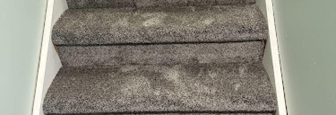 American Carpet