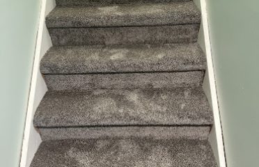 American Carpet